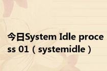 今日System Idle process 01（systemidle）