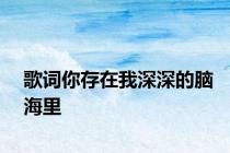 歌词你存在我深深的脑海里