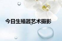 今日生殖器艺术摄影