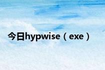 今日hypwise（exe）
