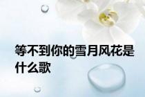 等不到你的雪月风花是什么歌