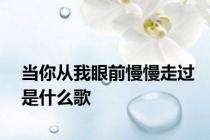 当你从我眼前慢慢走过是什么歌