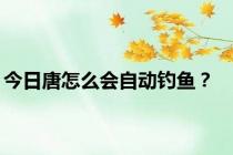 今日唐怎么会自动钓鱼？
