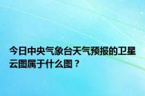 今日中央气象台天气预报的卫星云图属于什么图？