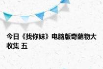 今日《找你妹》电脑版奇葩物大收集 五