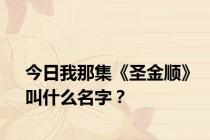 今日我那集《圣金顺》叫什么名字？