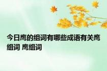 今日鹰的组词有哪些成语有关鹰组词 鹰组词
