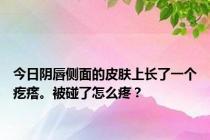 今日阴唇侧面的皮肤上长了一个疙瘩。被碰了怎么疼？