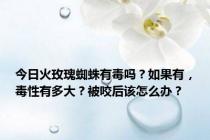 今日火玫瑰蜘蛛有毒吗？如果有，毒性有多大？被咬后该怎么办？