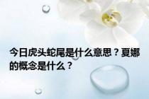 今日虎头蛇尾是什么意思？夏娜的概念是什么？