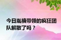 今日胤禛带领的疯狂团队解散了吗？