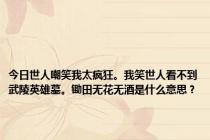 今日世人嘲笑我太疯狂。我笑世人看不到武陵英雄墓。锄田无花无酒是什么意思？