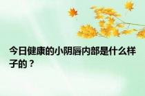 今日健康的小阴唇内部是什么样子的？