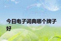 今日电子词典哪个牌子好
