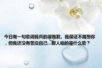 今日有一句歌词我真的很抱歉。我保证不再想你，但我还没有答应自己…那人唱的是什么歌？