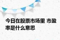 今日在股票市场里 市盈率是什么意思