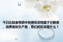 今日比如食物链中有哪些动物属于分解者、消费者和生产者，他们的区别是什么？