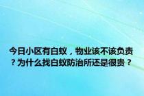 今日小区有白蚁，物业该不该负责？为什么找白蚁防治所还是很贵？