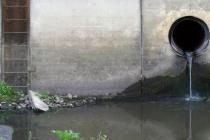 生物污泥水甚至正在进入您最喜欢的精酿啤酒中
