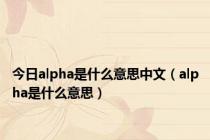 今日alpha是什么意思中文（alpha是什么意思）