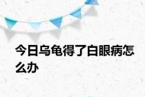 今日乌龟得了白眼病怎么办