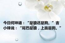 今日何坤道：“是狼还是狗。”吉小锋说：“尾巴是狼，上面是狗。”