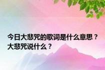 今日大悲咒的歌词是什么意思？大悲咒说什么？