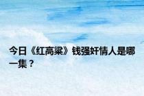 今日《红高粱》钱强奸情人是哪一集？