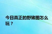 今日真正的野猪图怎么玩？