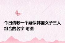 今日请教一个疑似韩国女子三人组合的名字 附图