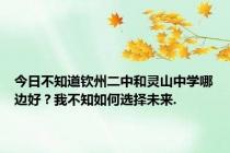 今日不知道钦州二中和灵山中学哪边好？我不知如何选择未来.