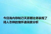 今日海内存知己天涯若比邻表现了诗人怎样的情怀请简要分析