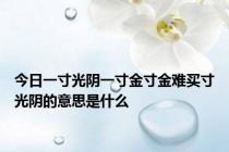今日一寸光阴一寸金寸金难买寸光阴的意思是什么