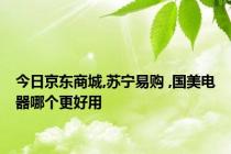 今日京东商城,苏宁易购 ,国美电器哪个更好用