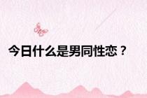 今日什么是男同性恋？
