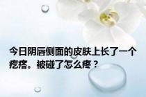 今日阴唇侧面的皮肤上长了一个疙瘩。被碰了怎么疼？
