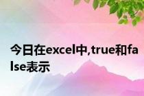今日在excel中,true和false表示