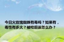 今日火玫瑰蜘蛛有毒吗？如果有，毒性有多大？被咬后该怎么办？