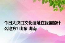 今日大汶口文化遗址在我国的什么地方? 山东 湖南
