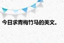 今日求青梅竹马的美文。