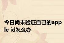 今日尚未验证自己的apple id怎么办