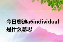 今日奥迪a6individual是什么意思