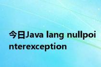 今日Java lang nullpointerexception