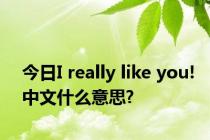 今日I really like you!中文什么意思?