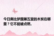 今日奥比梦国第五宫的木炭在哪里？它不能被点燃。