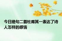 今日绝句二首杜甫其一表达了诗人怎样的感情