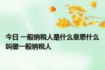 今日 一般纳税人是什么意思什么叫做一般纳税人