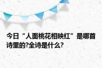 今日“人面桃花相映红”是哪首诗里的?全诗是什么?