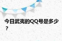 今日武夷的QQ号是多少？