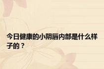 今日健康的小阴唇内部是什么样子的？